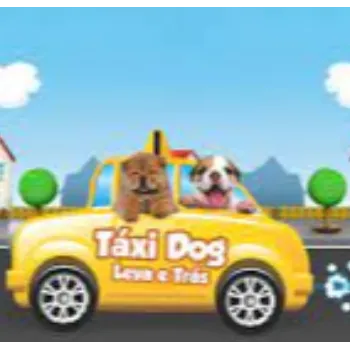 Taxi Dog